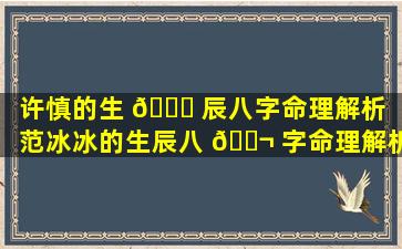 许慎的生 🐒 辰八字命理解析（范冰冰的生辰八 🐬 字命理解析）